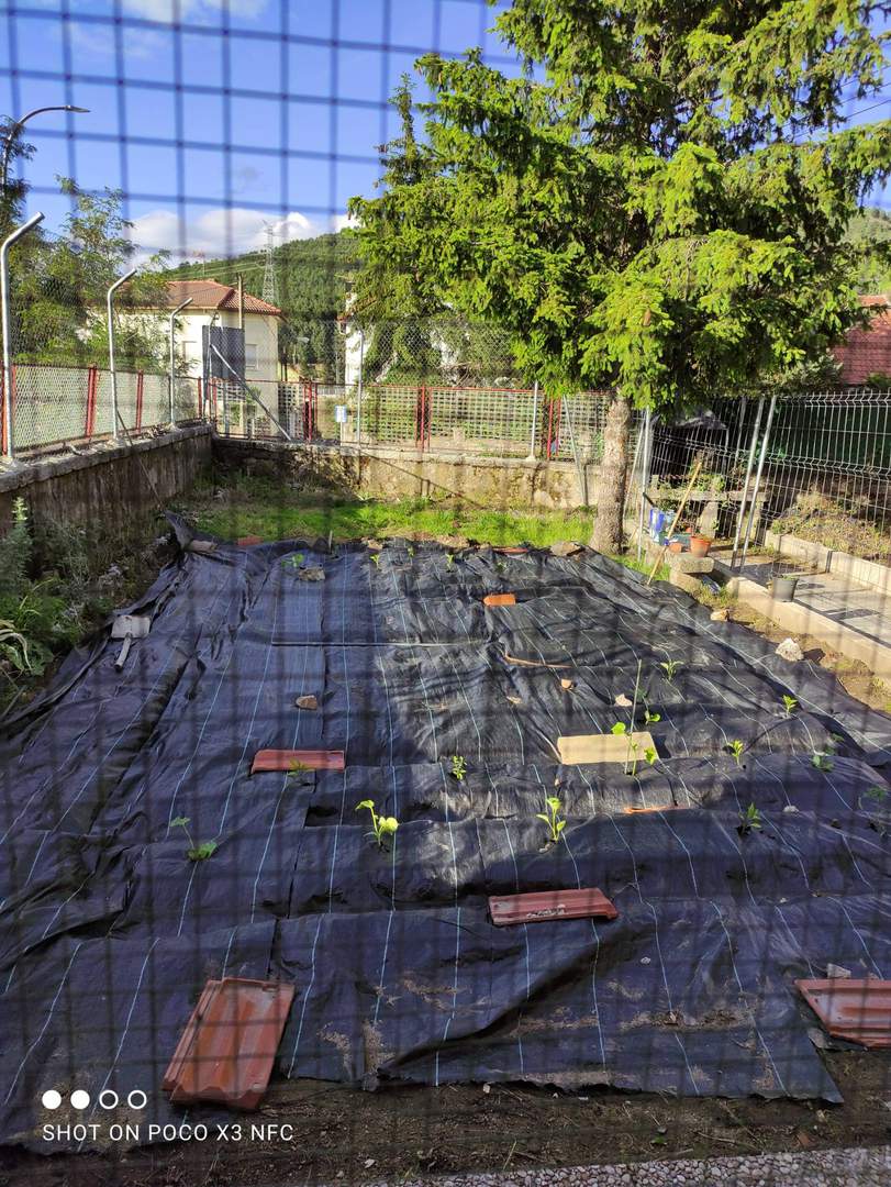 Alquila por horas Patio de unos 60m2 con porche y con un enorme peral