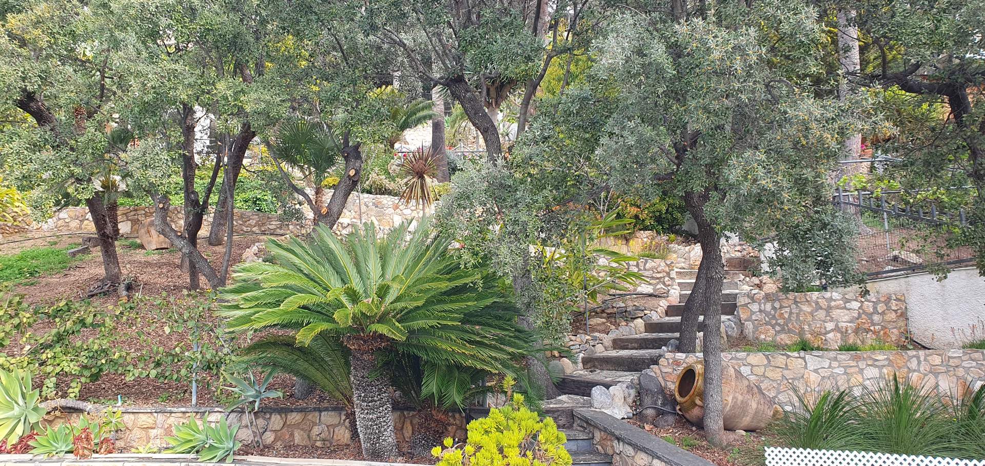 Alquila por horas Jardín espectacular con piscina y terraza