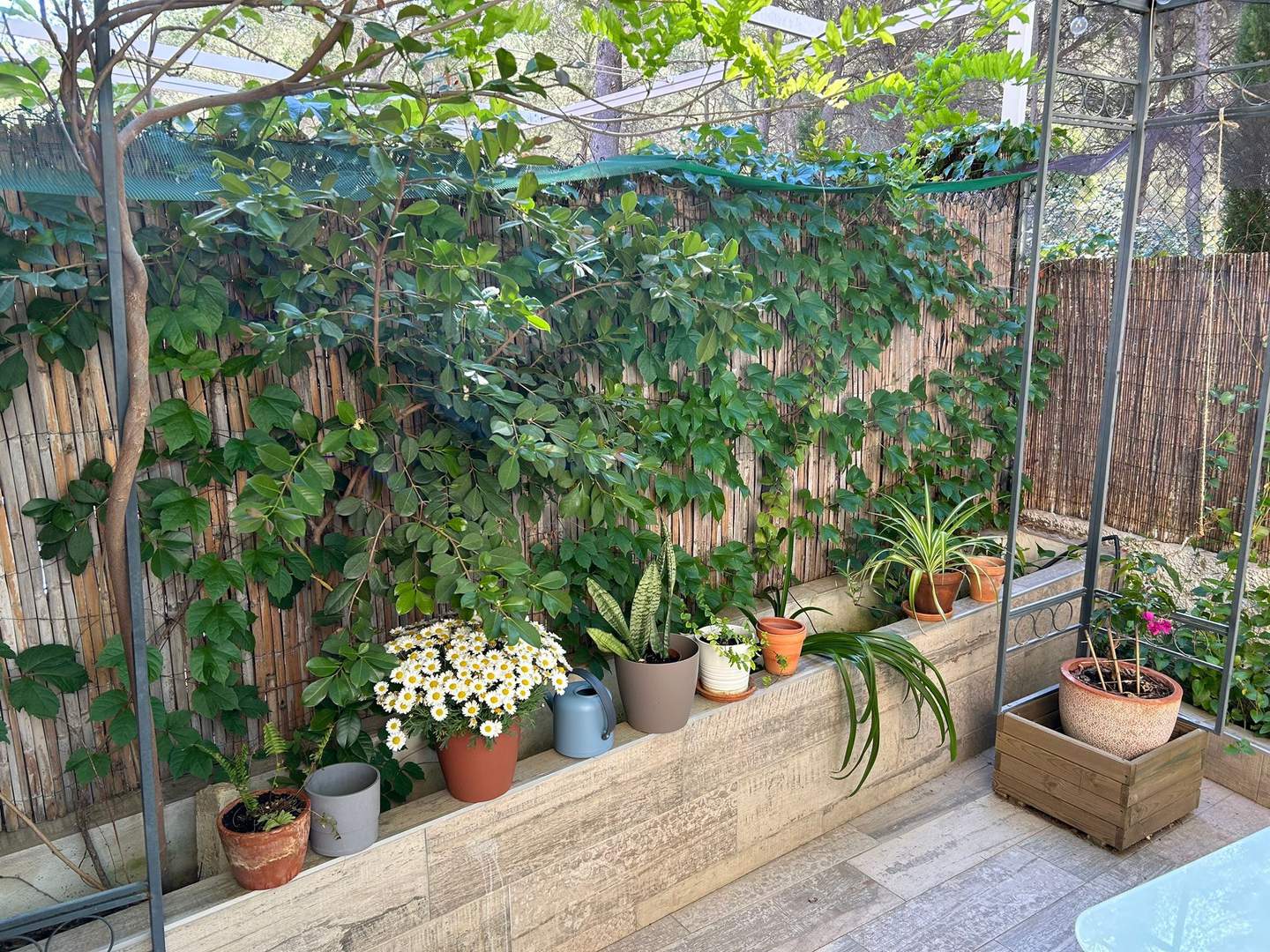 Alquila por horas Terraza ajardinada ideal para sesiones forograficas