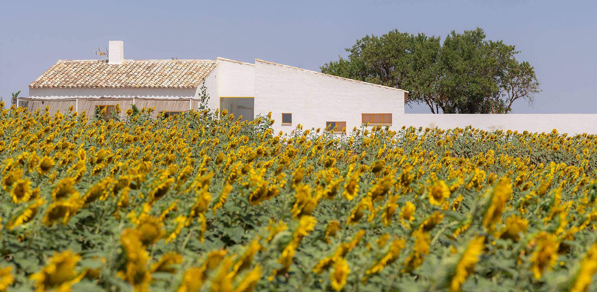 Alquila por horas Casa de campo en finca agrícola en Cuenca