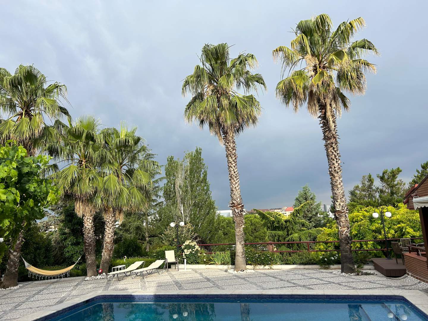 Alquila por horas Piscina con palmeras