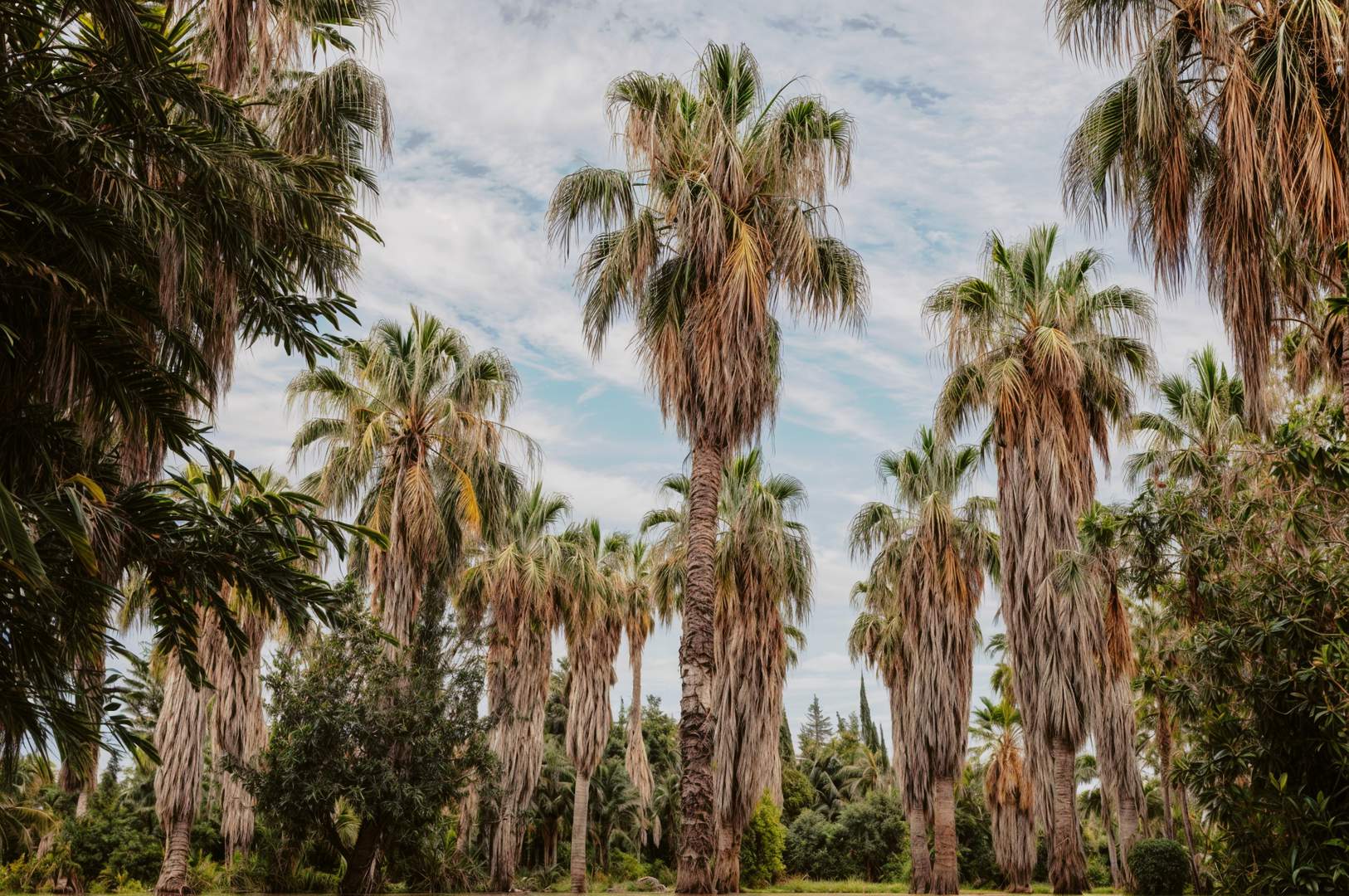 Alquila por horas Un Oasis de Naturaleza a las Puertas de Barcelona