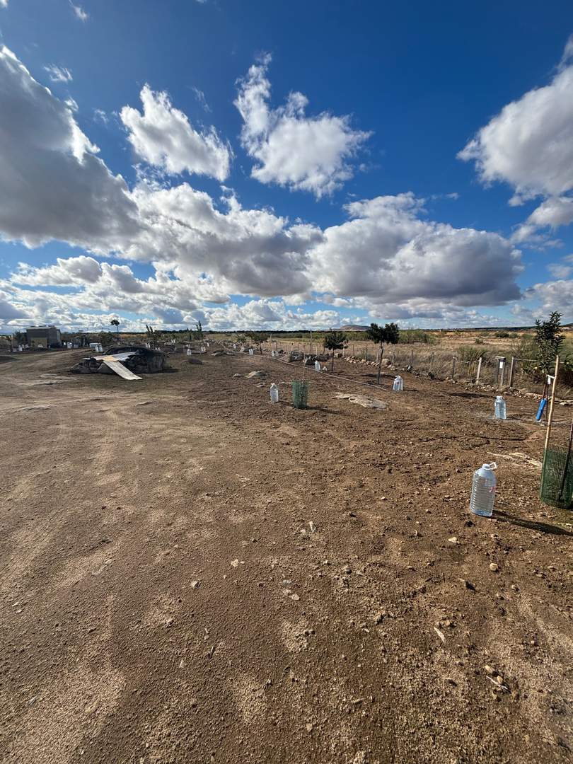 Alquila por horas Única finca con huerto y gallinero