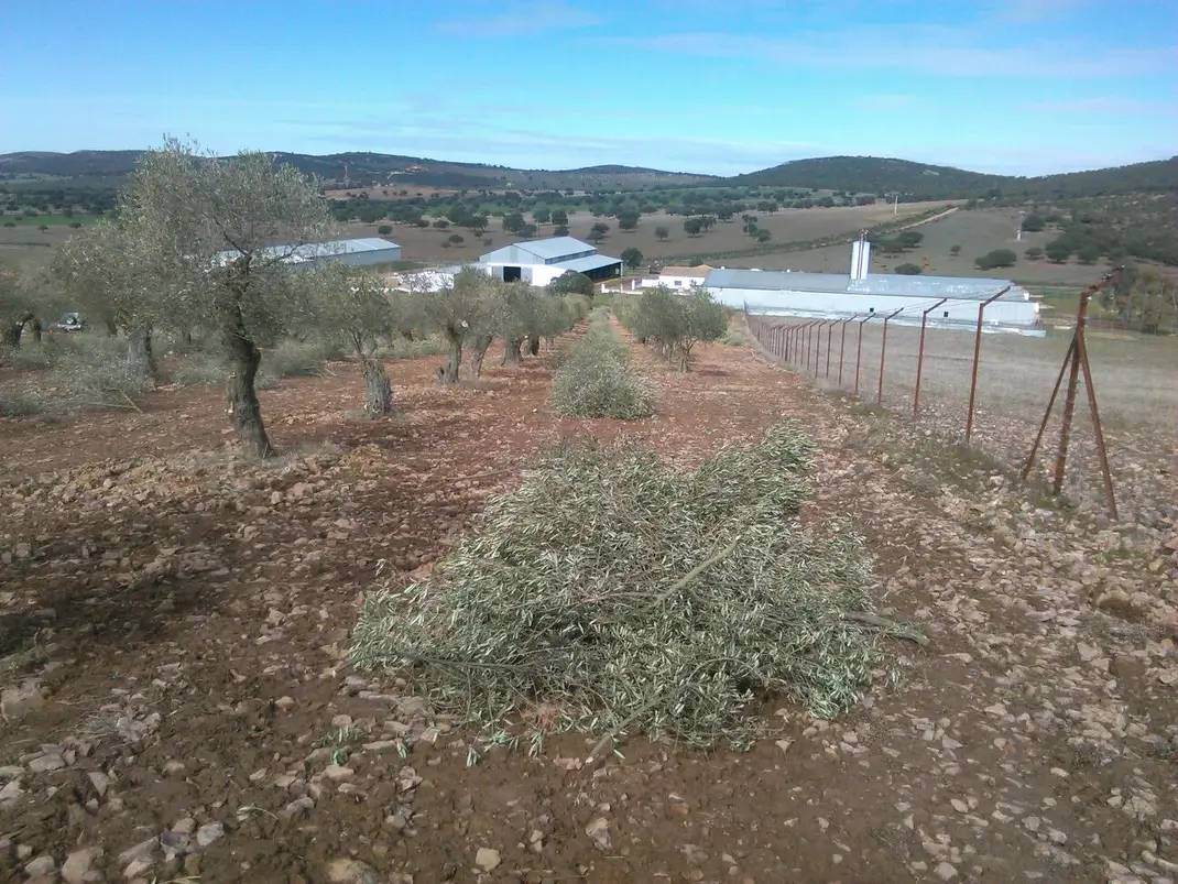 Alquila por horas FINCA RÚSTICA con lago