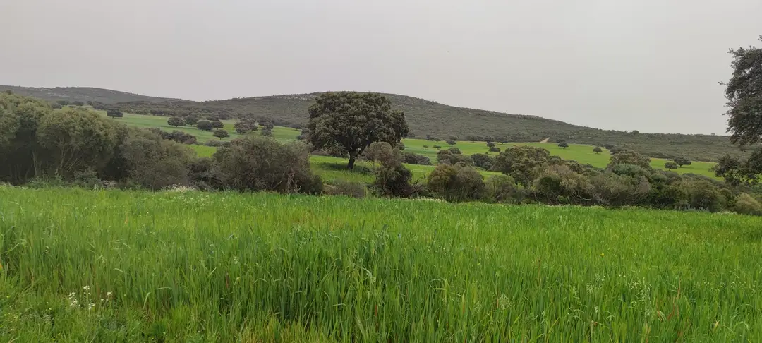 Alquila por horas FINCA RÚSTICA con lago