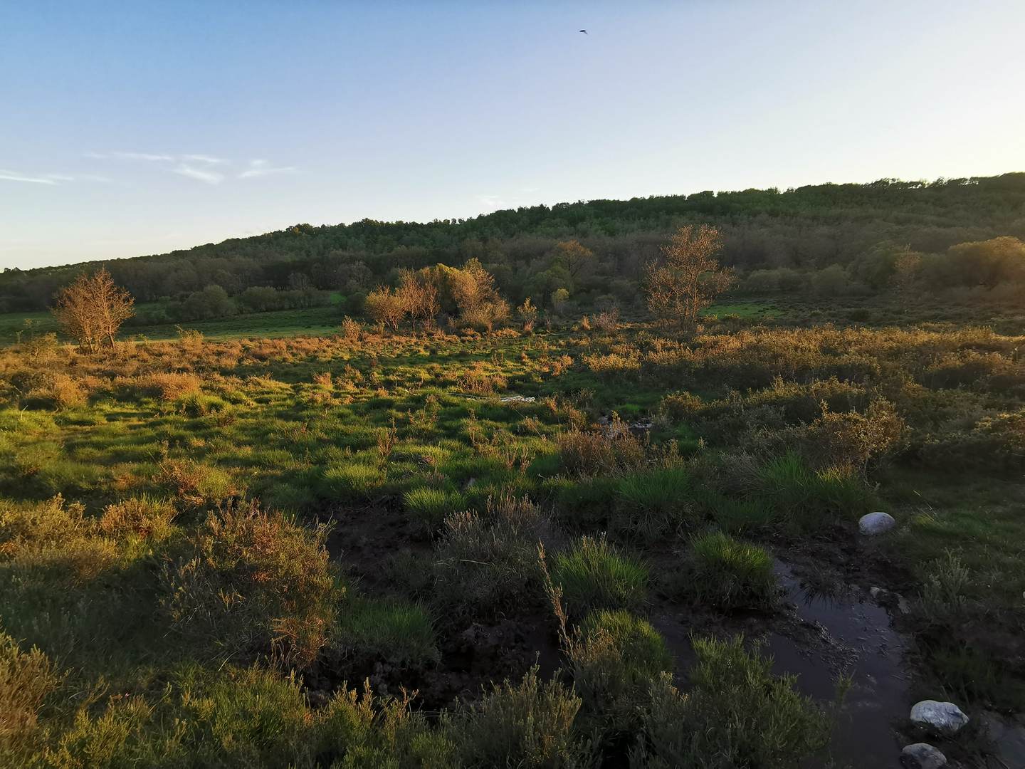 Alquila por horas Finca con Viejo Caserío