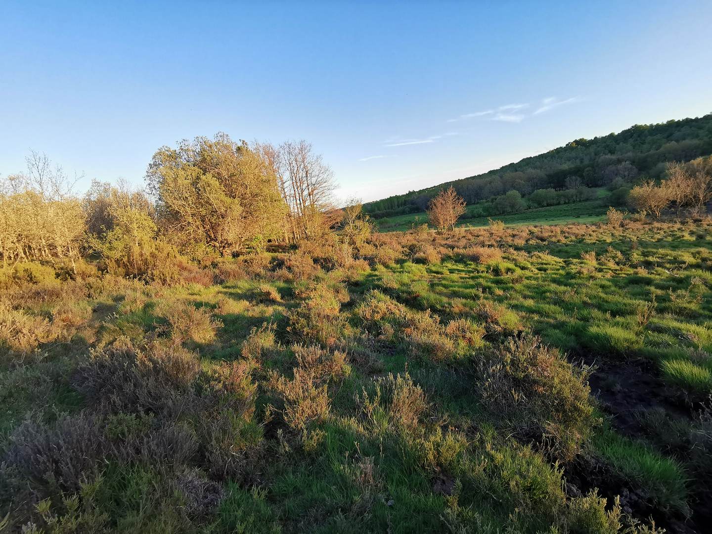 Alquila por horas Finca con Viejo Caserío