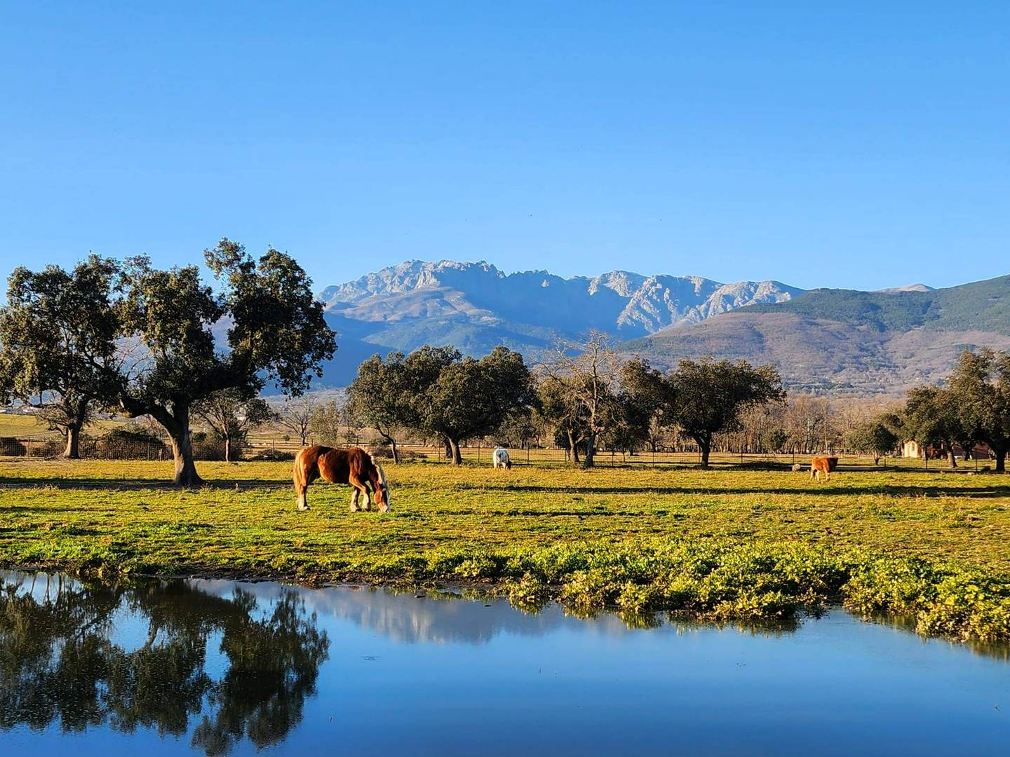 Alquila por horas Finca rústica en Gredos