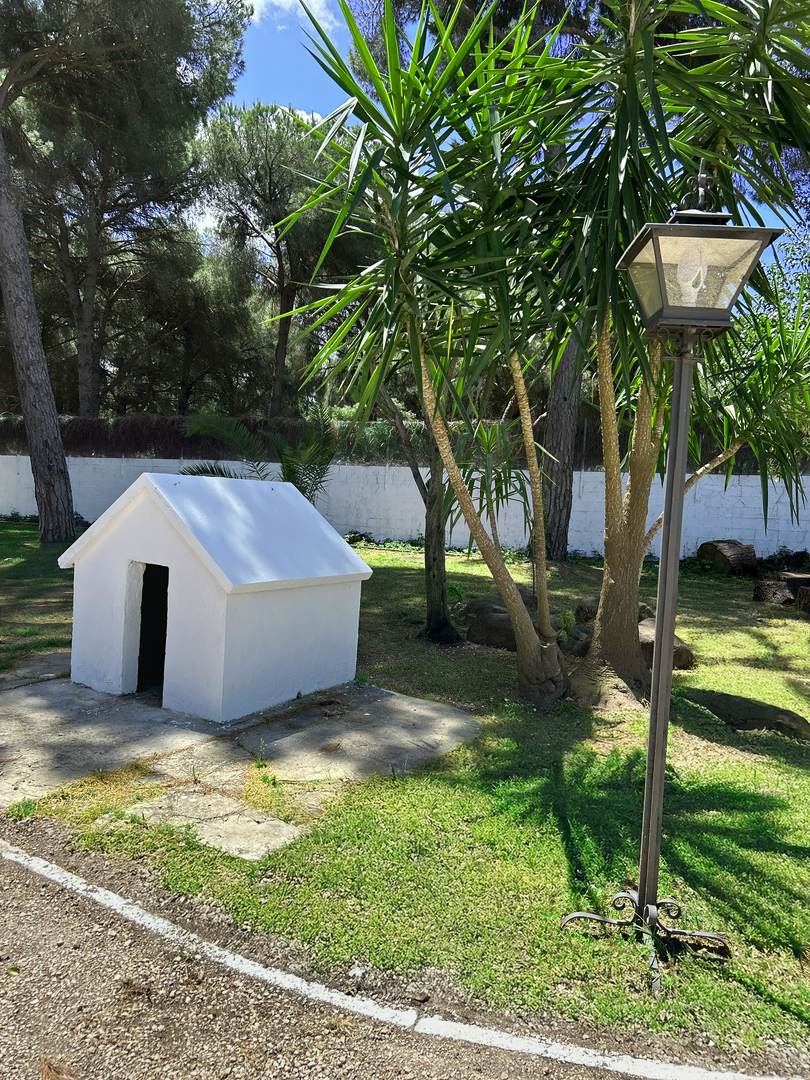 Alquila por horas Casa rural Pinar de la Plata, Arcos de la Frontera