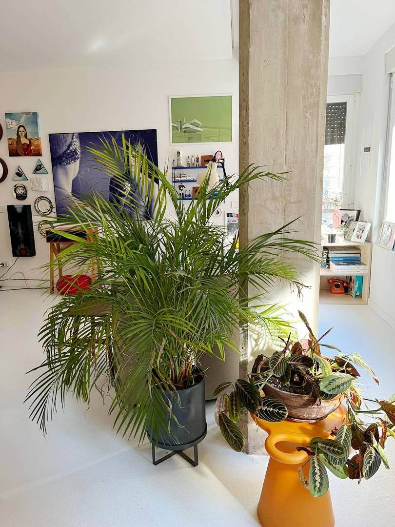 Alquila por horas vivienda blanca 