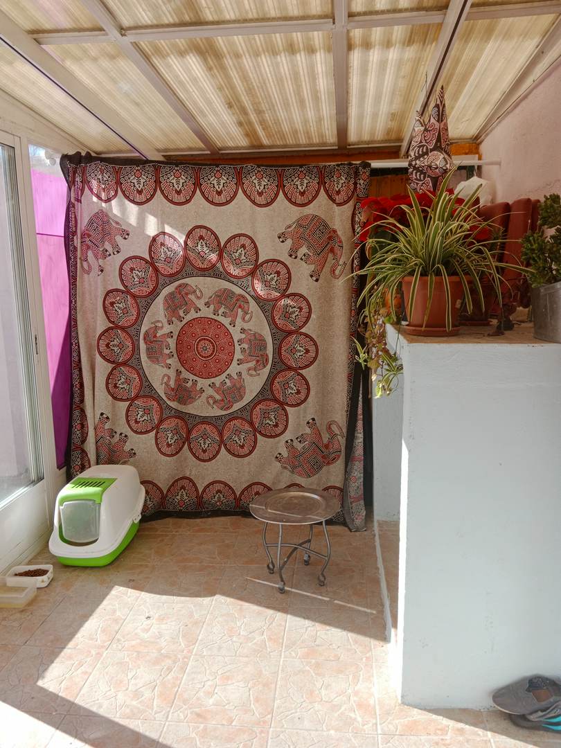 Alquila por horas Vivienda familiar amplia con amplio salón con piano y gran patio 