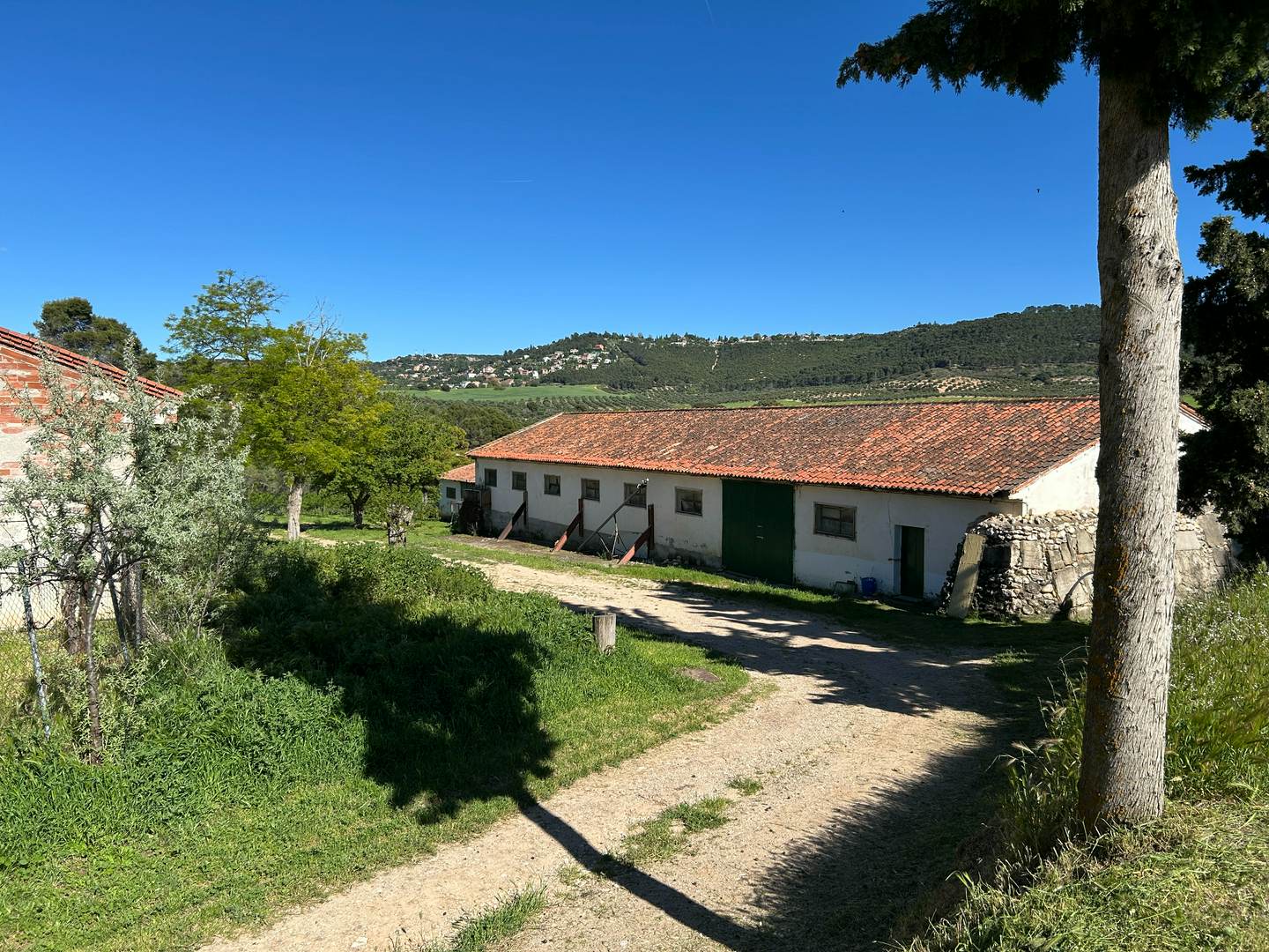 Alquila por horas Finca rústica de olivares y con patio interior blanco