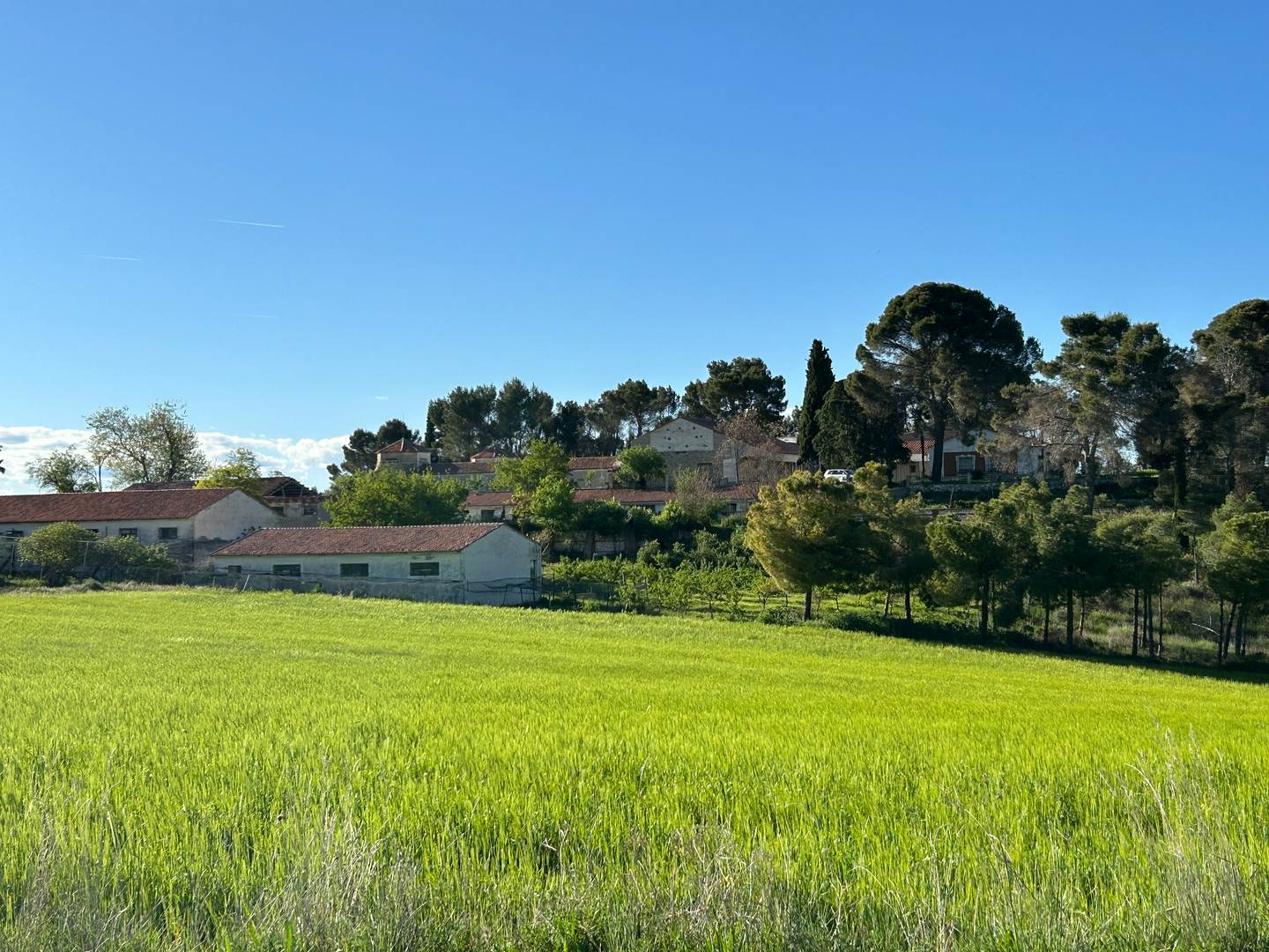 Alquila por horas Finca rústica de olivares y con patio interior blanco