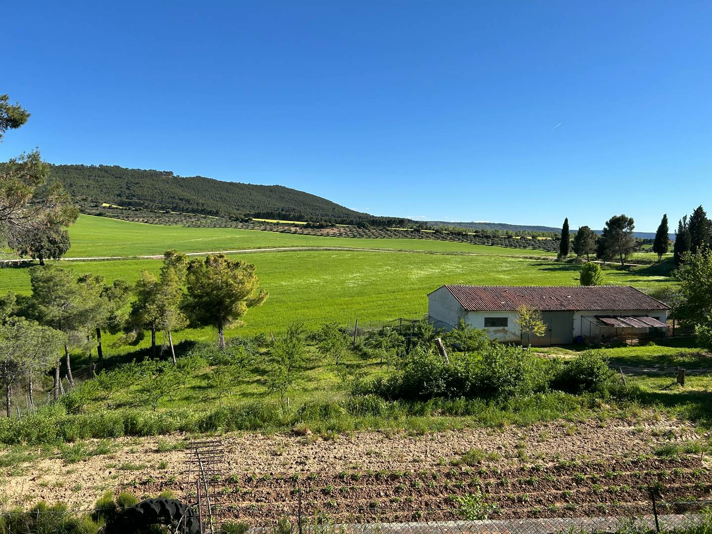 Alquila por horas Finca rústica de olivares y con patio interior blanco