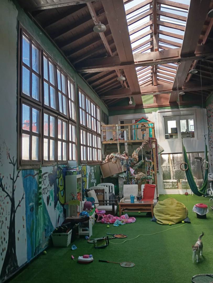 Alquila por horas Ático Triplex con Frontón Privado (único) y Terraza