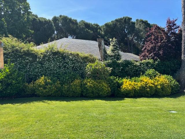 Alquila por horas Vivienda unifamiliar con un jardin maravilloso