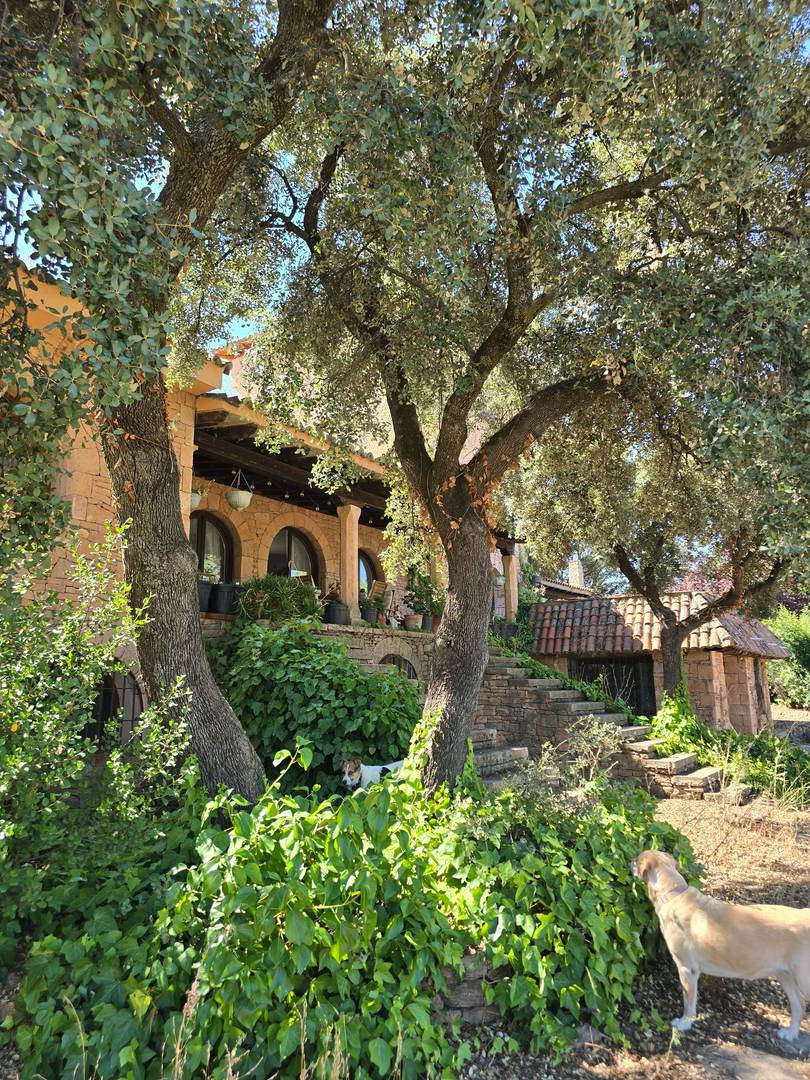 Alquila por horas Casa de campo de piedra rústica con interiores de madera