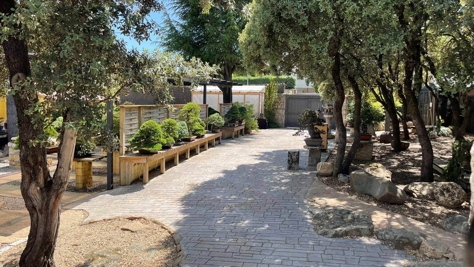 Alquila por horas Templo Verde: El jardín zen de bonsáis más exclusivo de Europa