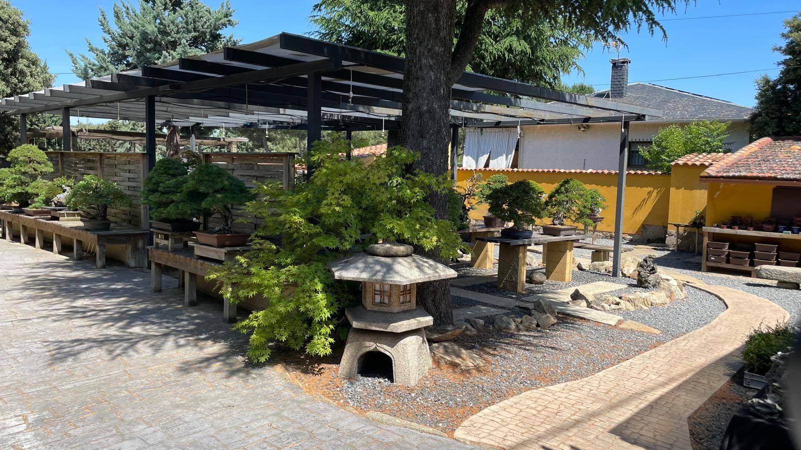 Alquila por horas Templo Verde: El jardín zen de bonsáis más exclusivo de Europa