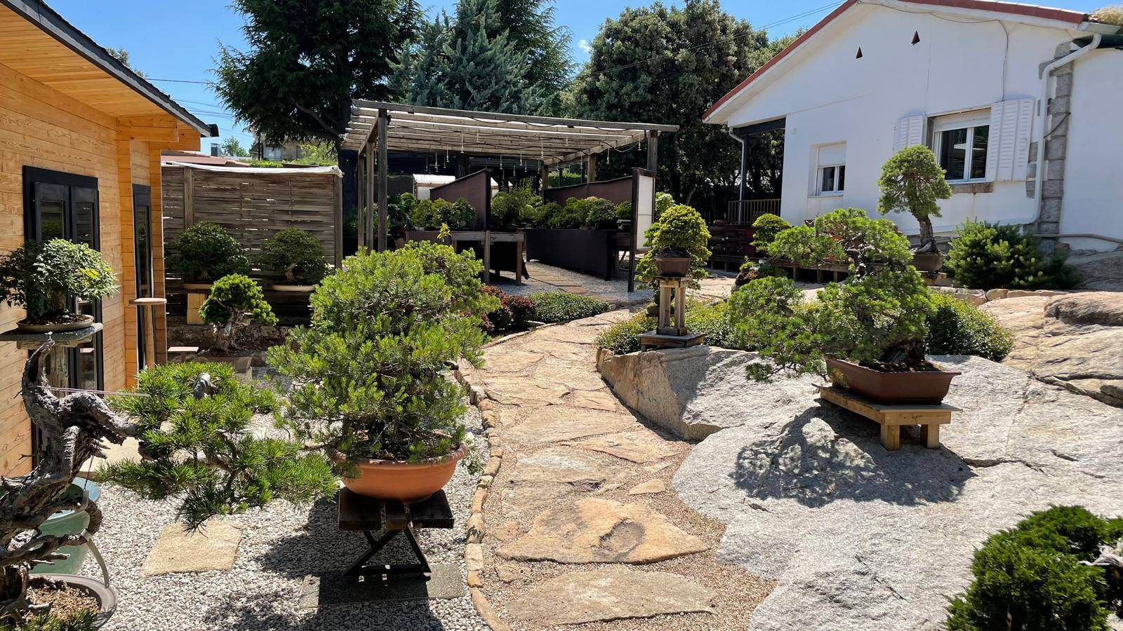 Alquila por horas El jardín zen de bonsáis más exclusivo de Europa