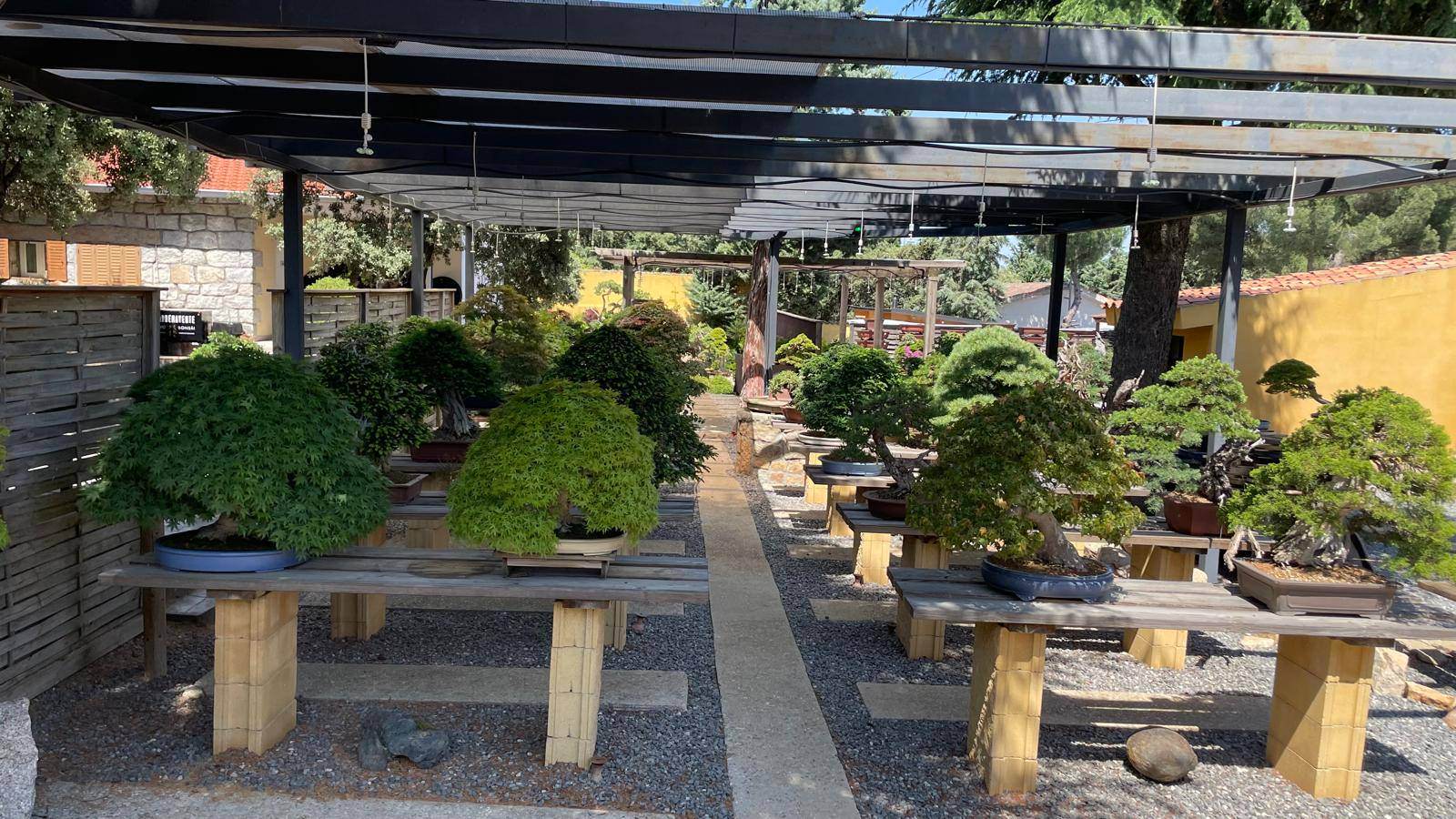 Alquila por horas Templo Verde: El jardín zen de bonsáis más exclusivo de Europa