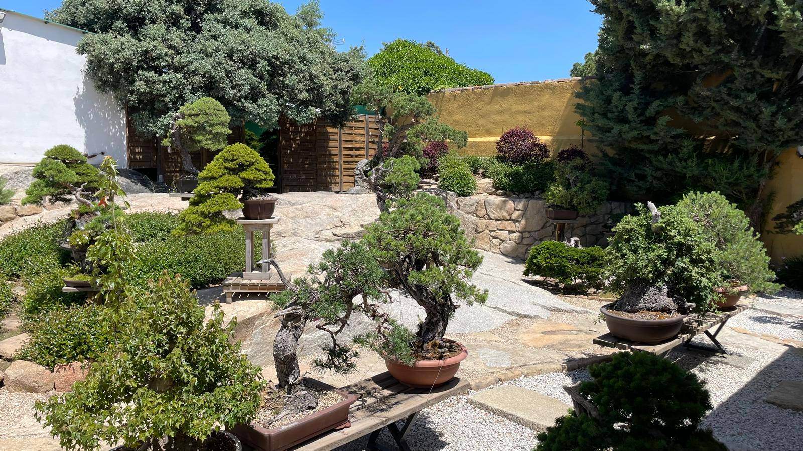 Alquila por horas El jardín zen de bonsáis más exclusivo de Europa