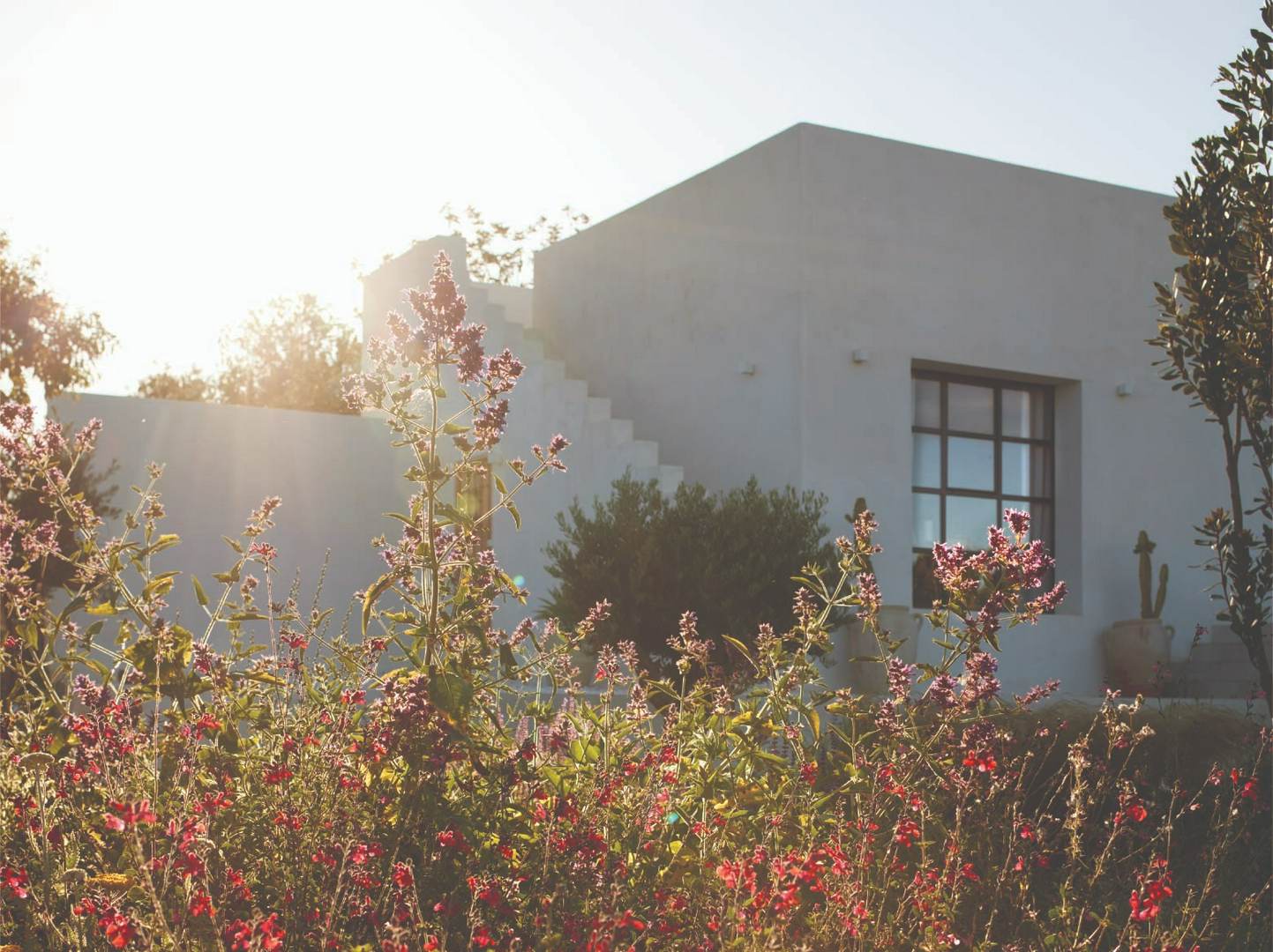 Alquila por horas Estudio y jardín mediterráneo — El set natural donde creatividad y diseño se encuentran
