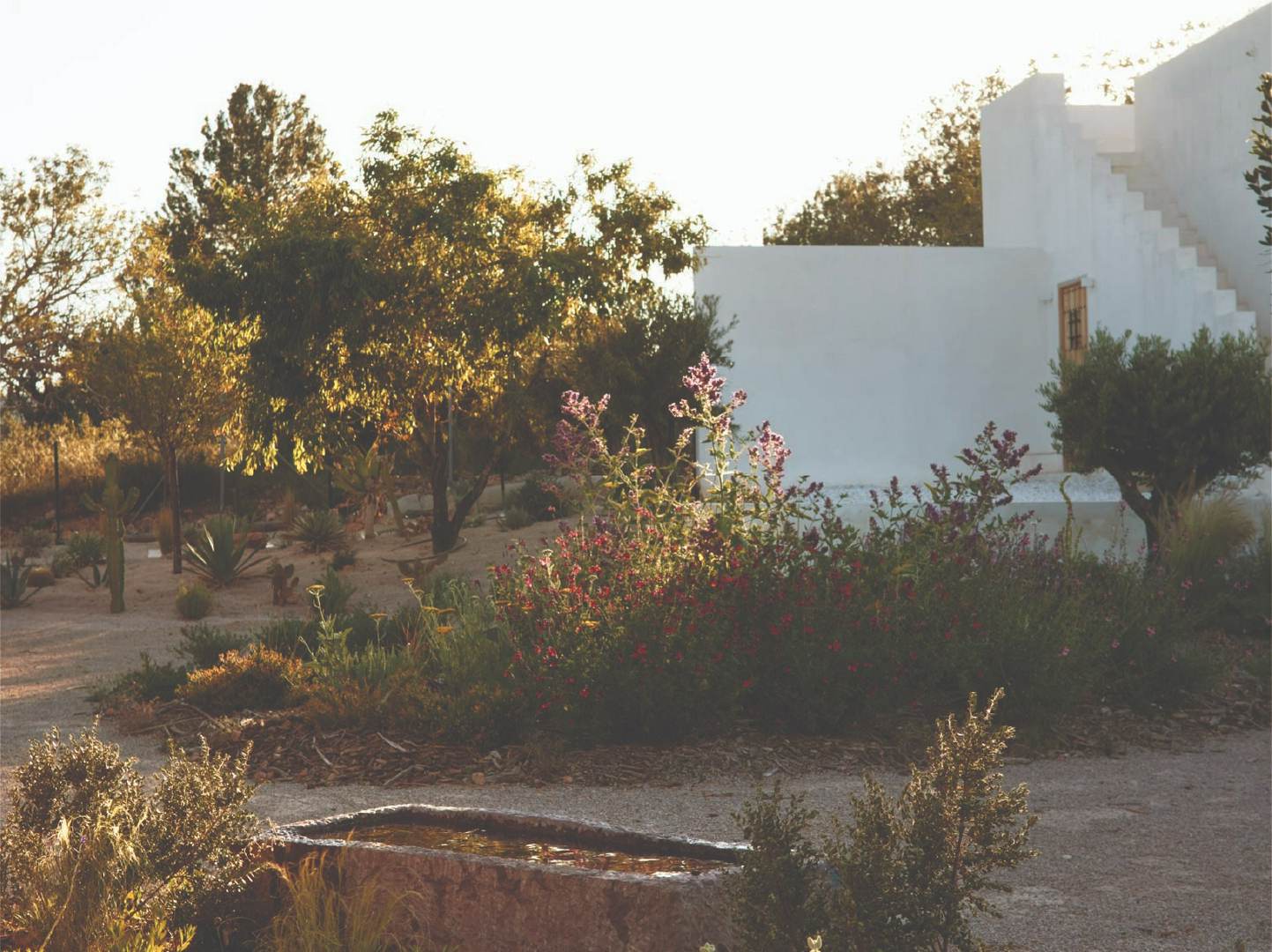 Alquila por horas Estudio y jardín mediterráneo — El set natural donde creatividad y diseño se encuentran