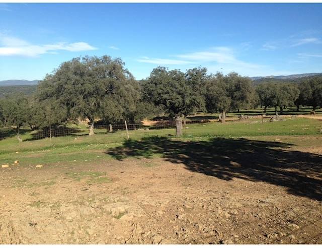 Alquila por horas Finca rústica en Cáceres – 330 hectáreas con paisaje natural y construcciones tradicionales