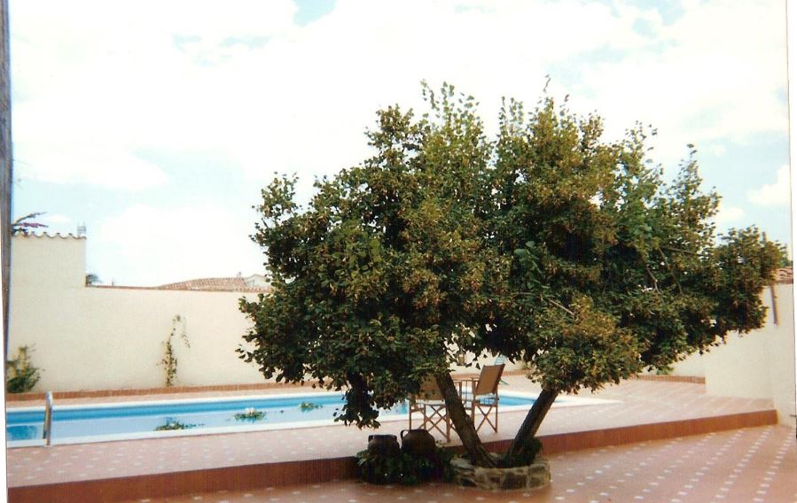 Alquila por horas Casa rural en Aldeacentenera repleta de elegancia, autenticidad y encanto extremeño