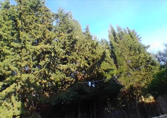 Alquila por horas Casa rural en sierra de Grazalema, Cádiz