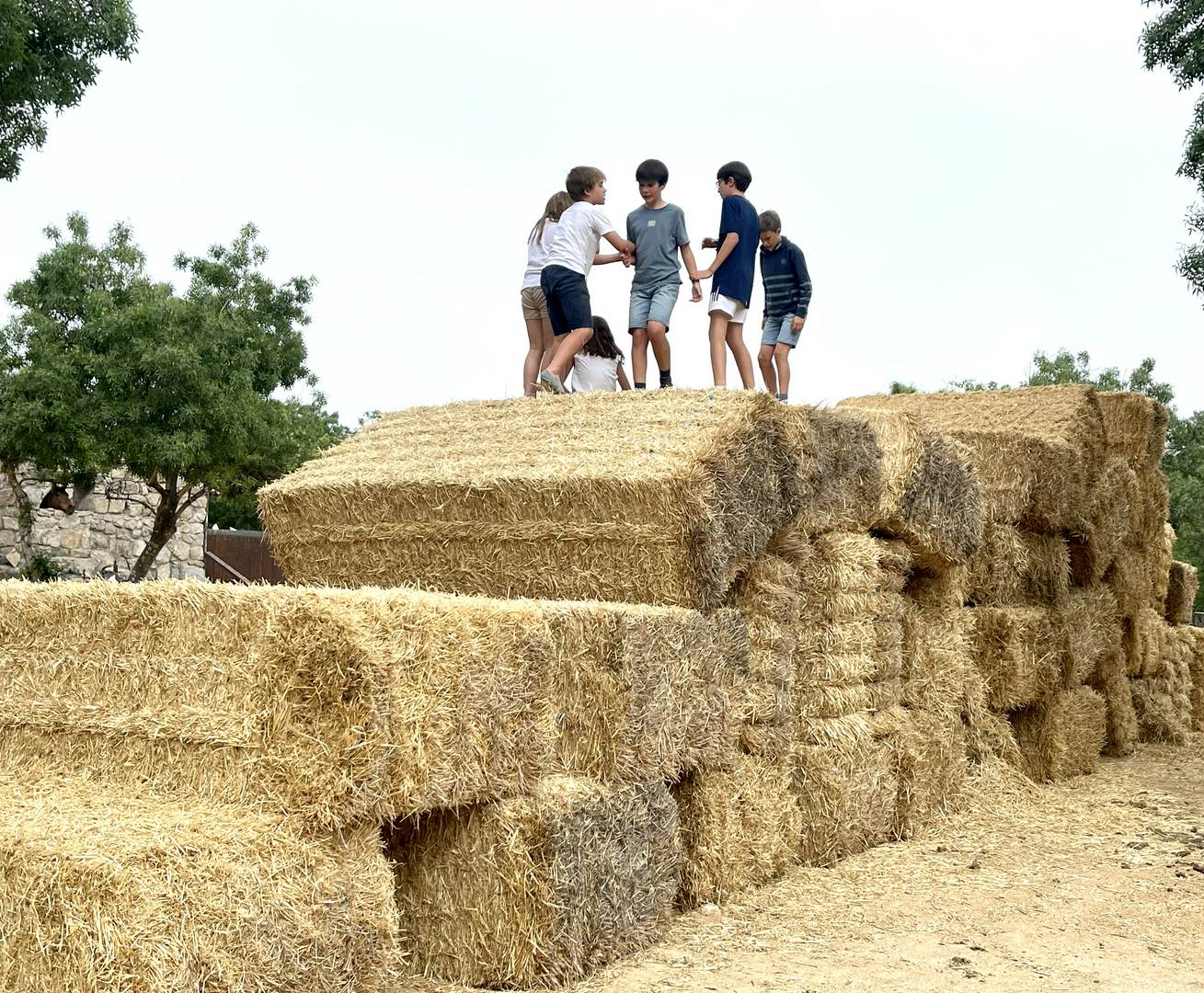 Alquila por horas Finca en el corazón de la sierra de Madrid