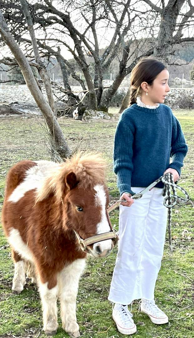 Alquila por horas Finca Montehispano: espacio con alma, animales, paisaje y naturaleza viva en la Sierra de Madrid