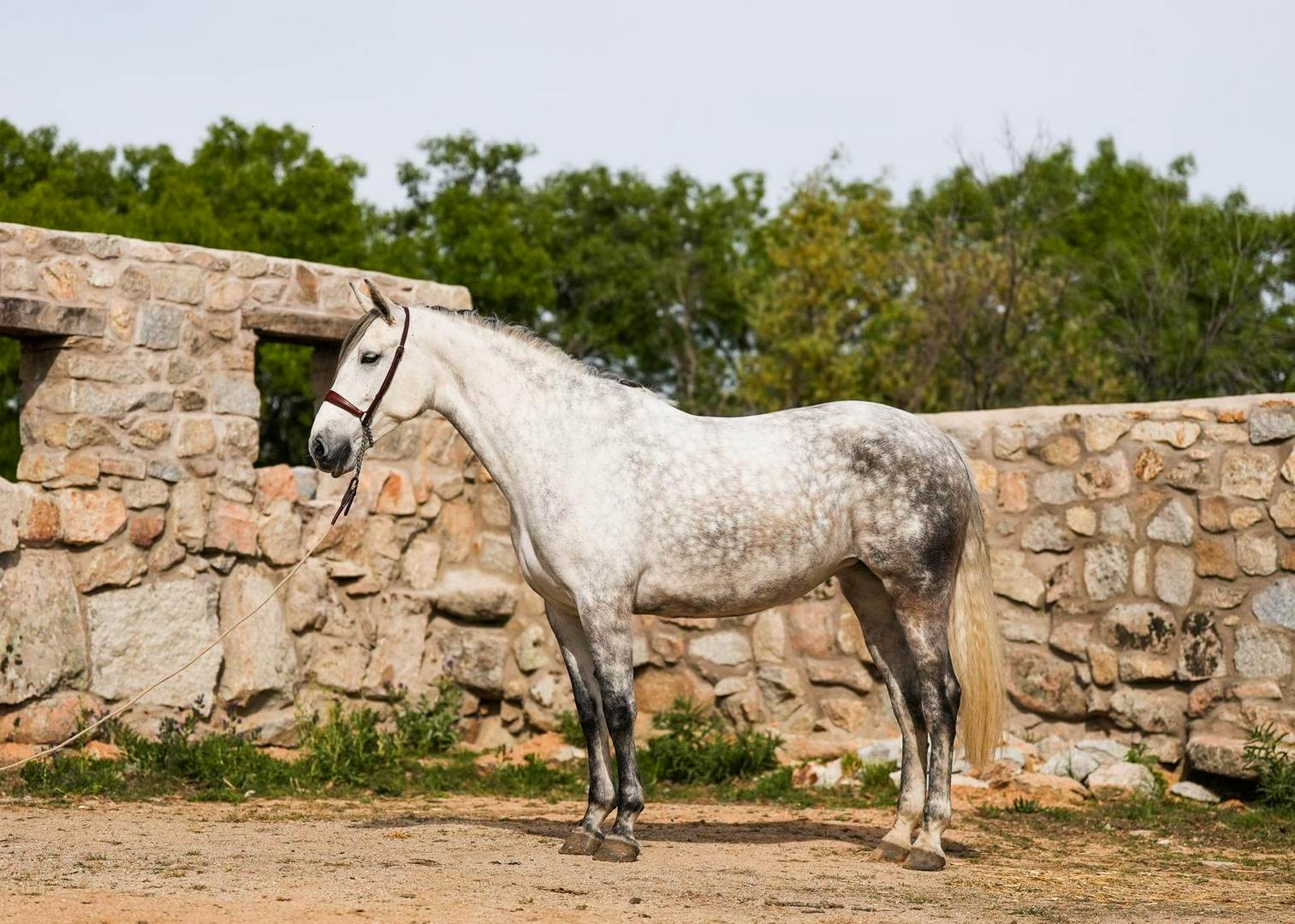 Alquila por horas Finca en el corazón de la sierra de Madrid