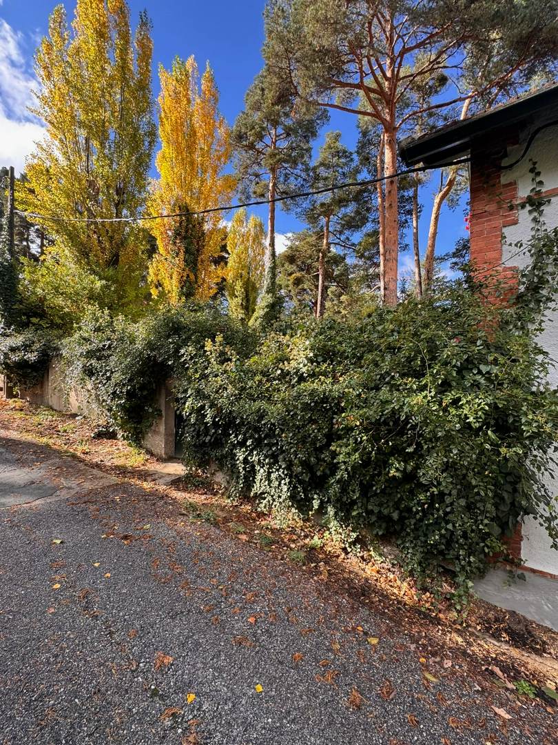 Alquila por horas vivienda unifamiliar rustica en el bosque