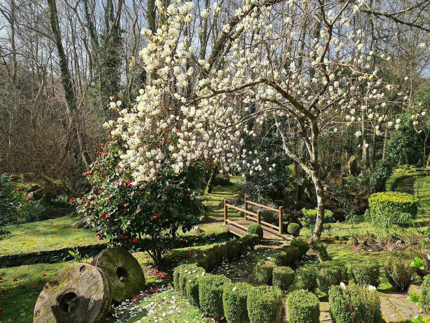 Alquila por horas Finca en el rural gallego