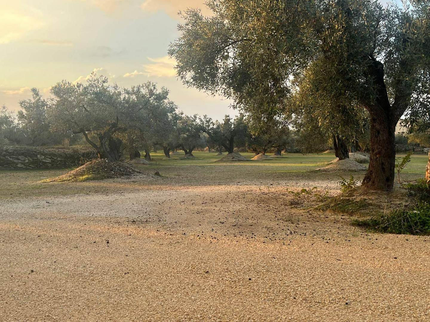 Alquila por horas Casa rodeada de olivos centenarios y vistas panorámicas al Delta de Ebro