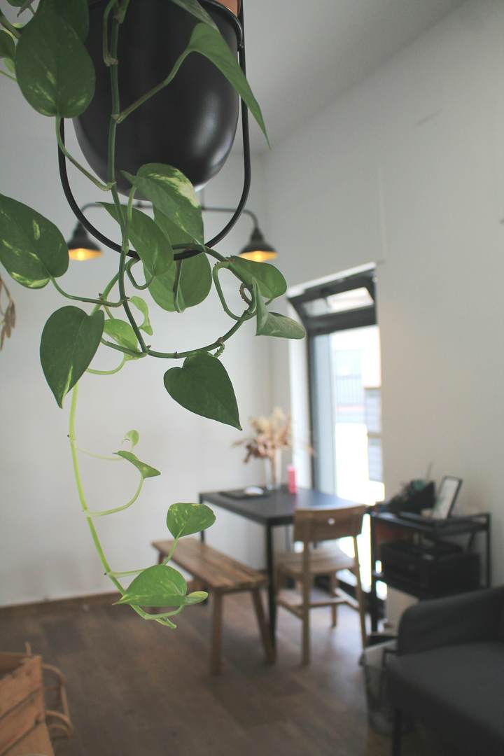 Alquila por horas Espacio íntimo y cálido para talleres, eventos y artistas corporales