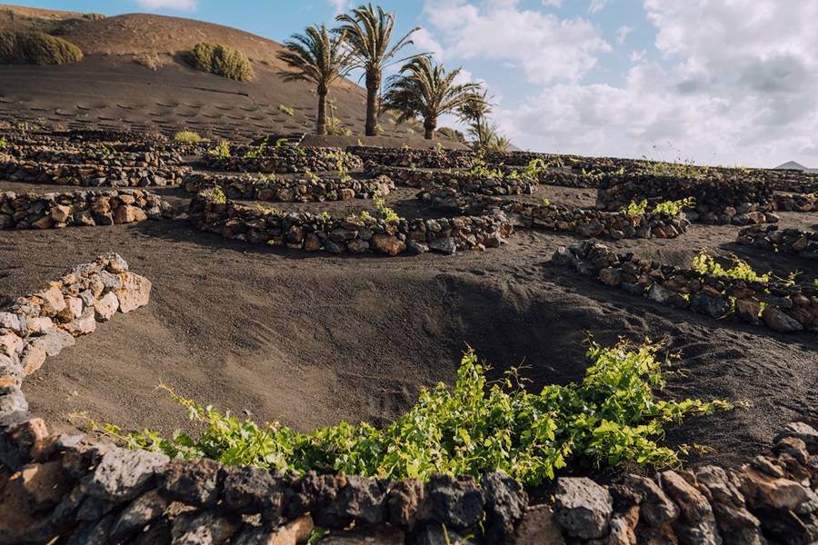 Alquila por horas Casa colonial con viñedo | Plató natural y espacios para todo tipo de eventos