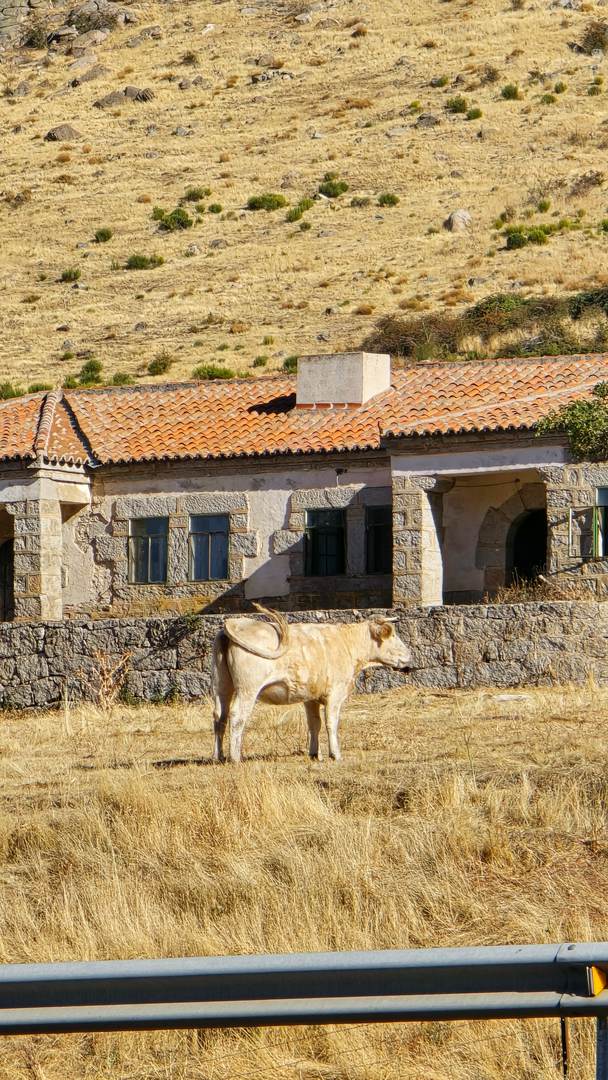 Alquila por horas Bar con chimenea