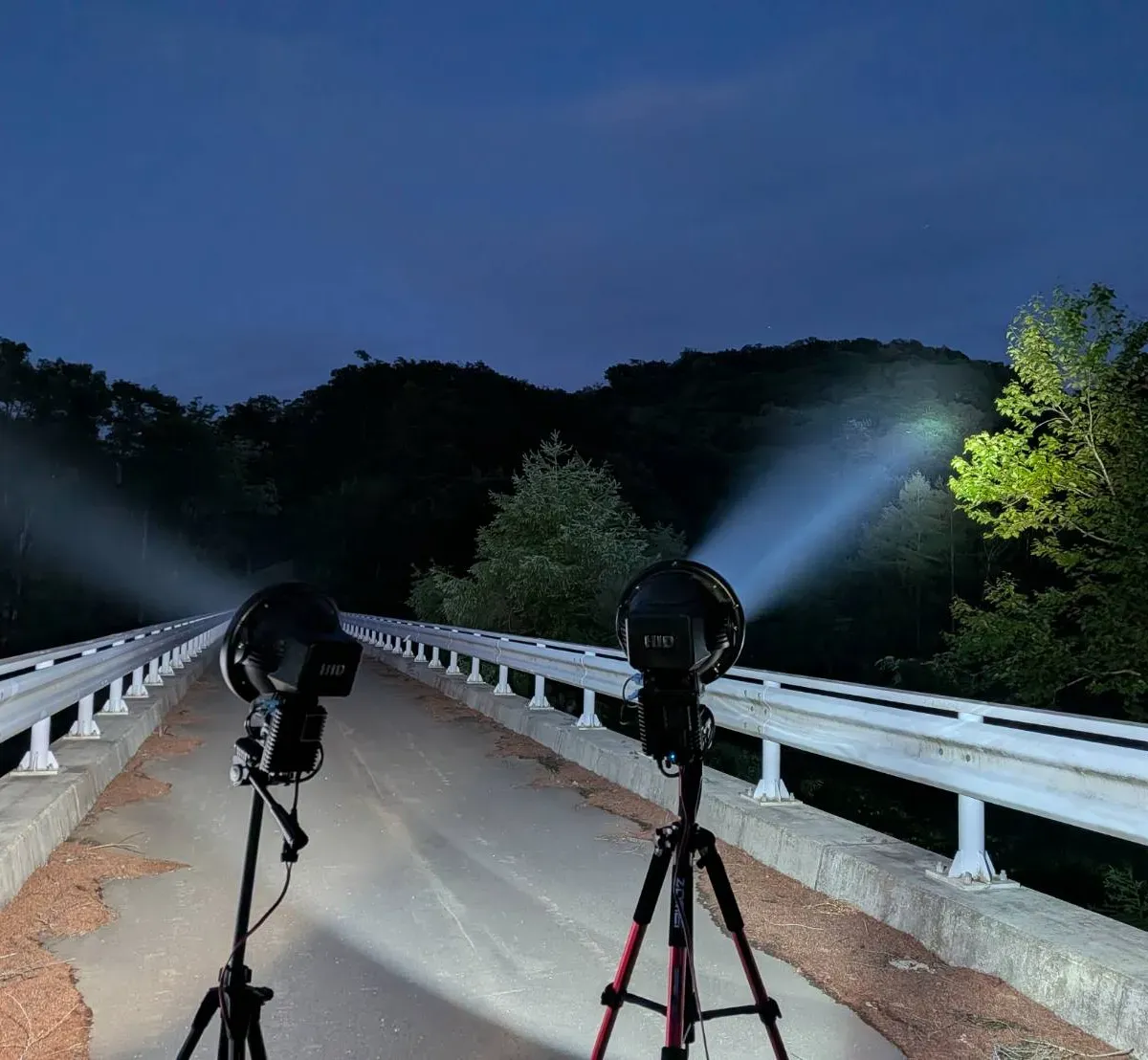 【体験型】ライトトラップツアー|クワガタ・カブトムシ採集
