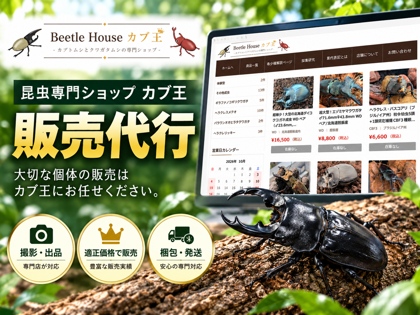 カブ王｜販売代行
