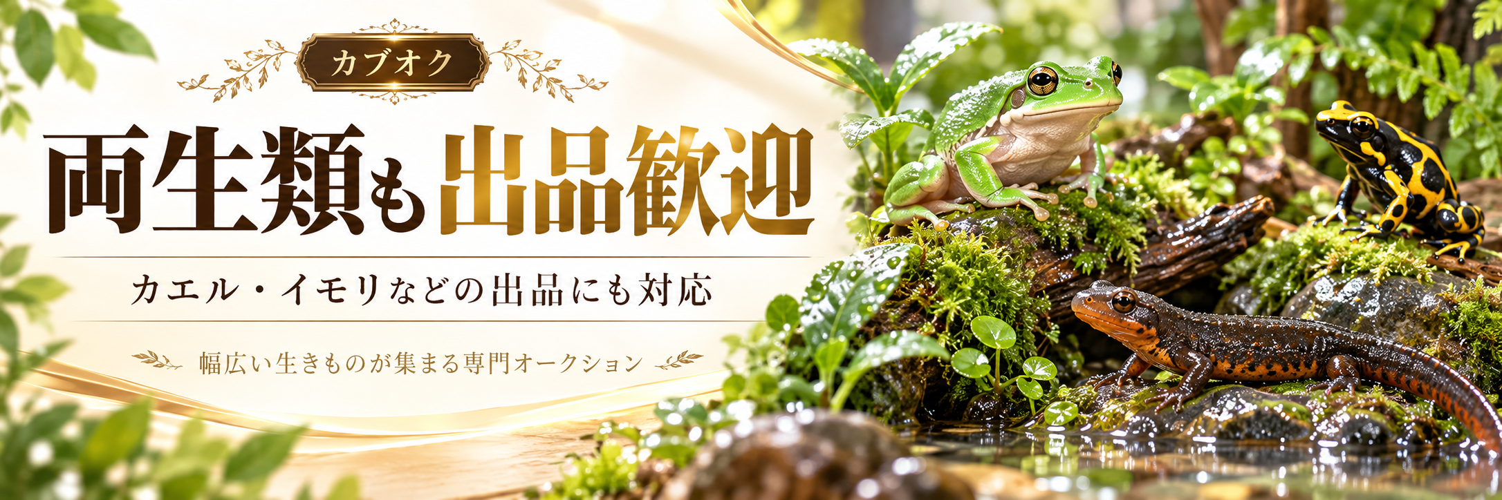 カエル・イモリなど両生類の出品募集