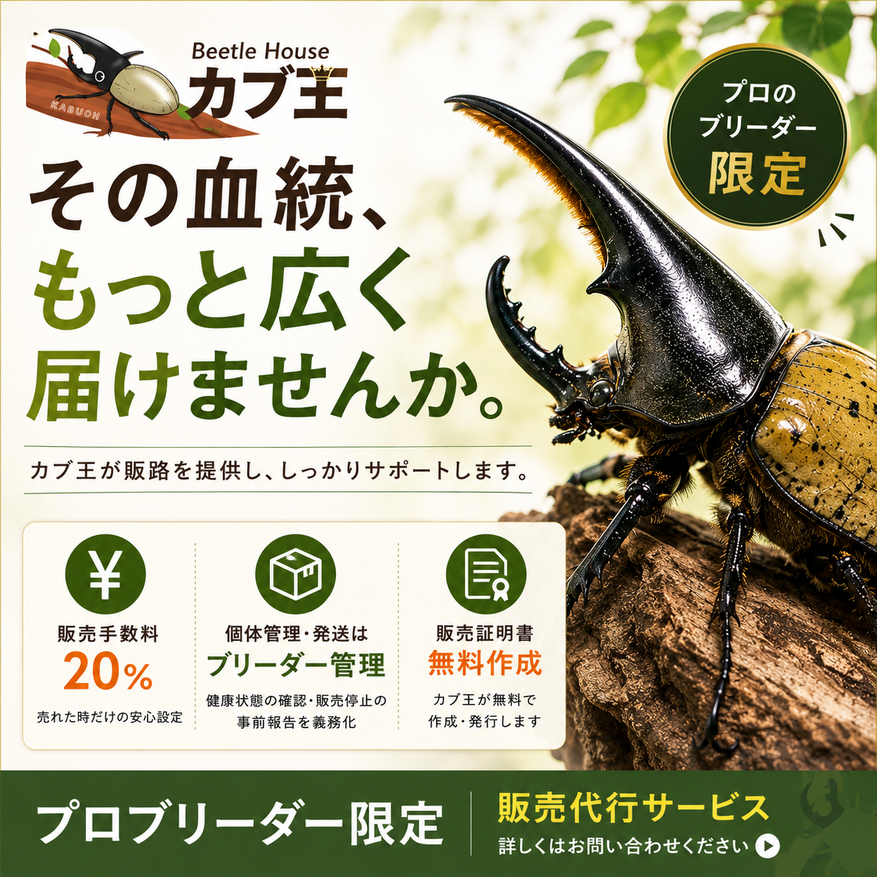 Beetle House カブ王で販売代行
