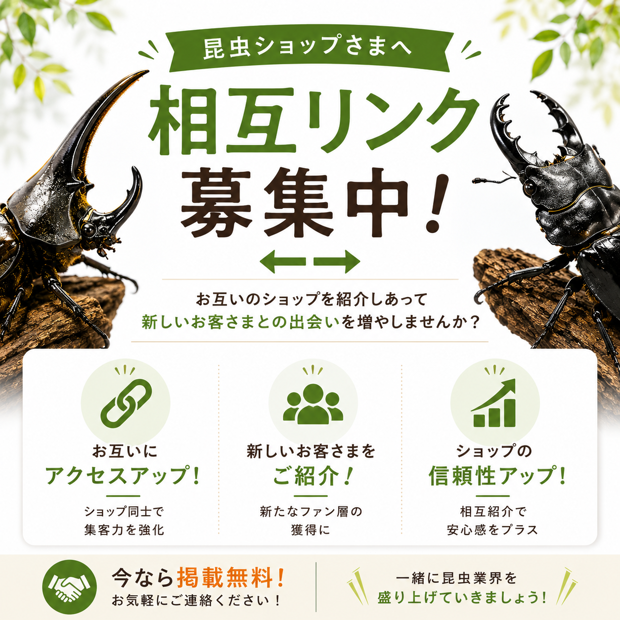 Beetle House カブ王と相互リンク