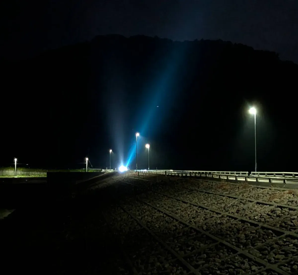 【体験型】ライトトラップツアー|クワガタ・カブトムシ採集