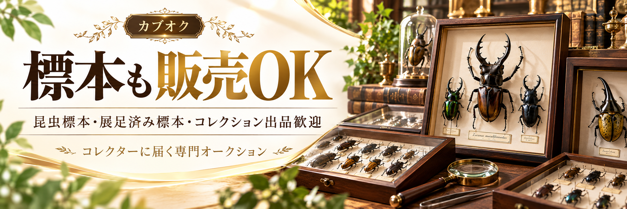 カブオク | カブ王!オークション