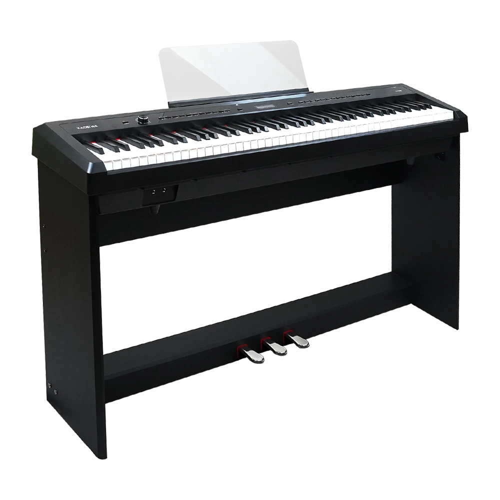 Digital Piano · Black