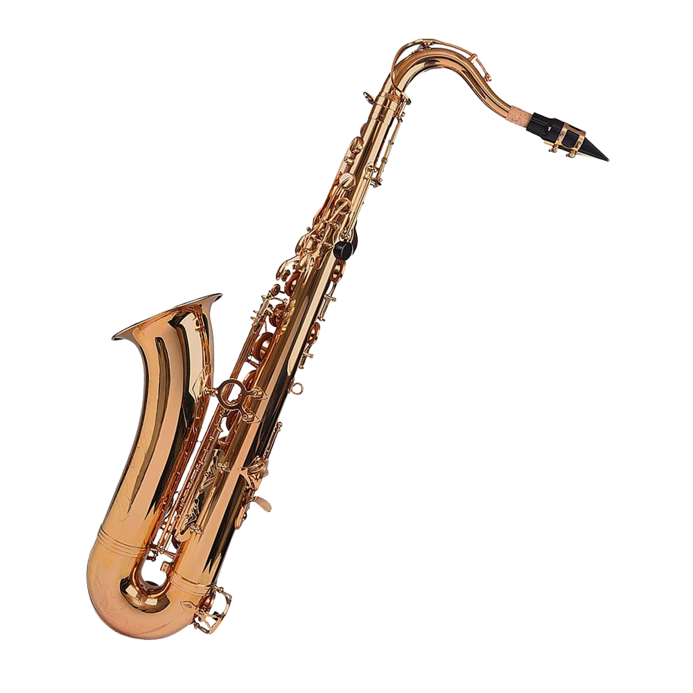 KTSAXG Touring Series B-flat Tenor Saxophone · Gold