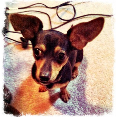 Kaggle profile picture for @decker